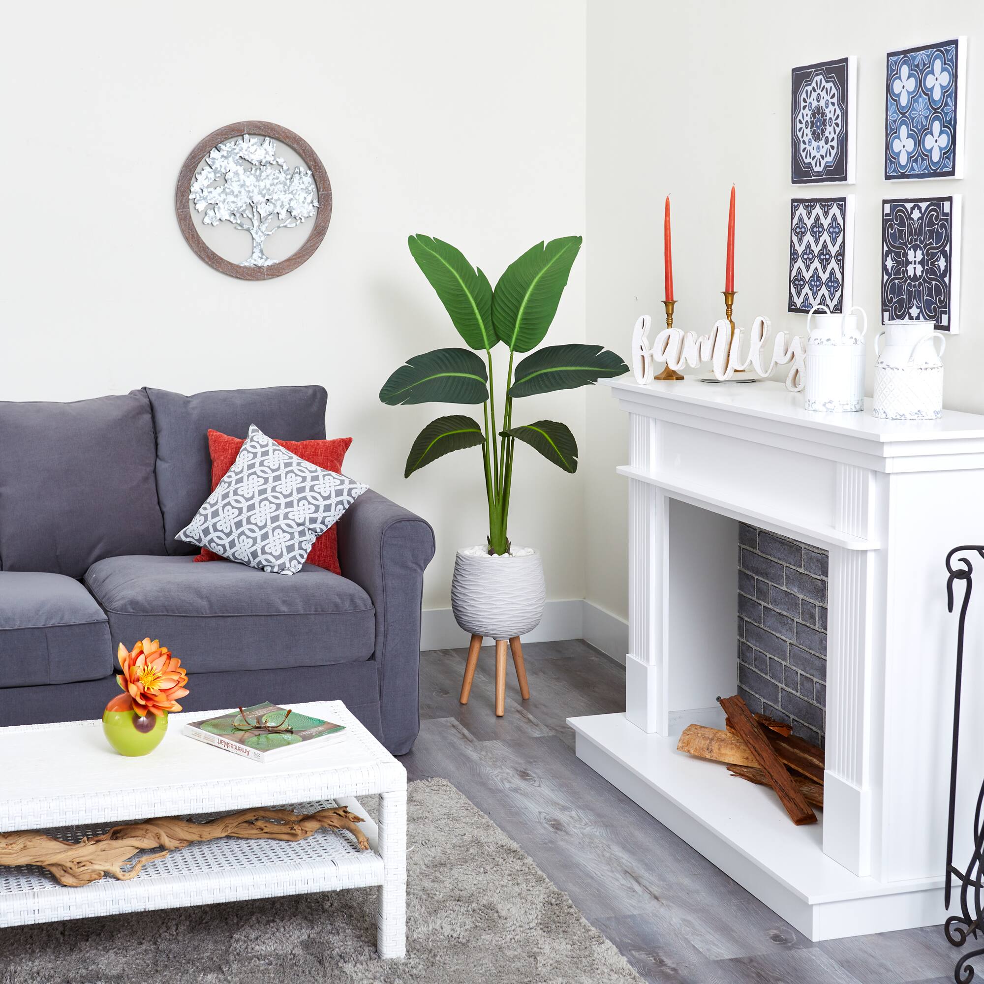 5ft. Travelers Palm Plant in White Planter with Stand